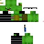 Texture for turtle 2