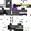 Texture for cool skib
