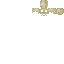 Texture for skull