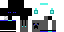 Texture for Enderman