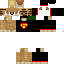 Texture for Скун
