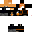 Texture for fox