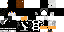 Texture for ninja pixel
