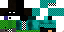 Texture for ENDER HEROBIRINE