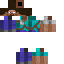 Texture for steve 