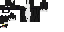 Texture for Cat Herobrine