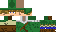 Texture for Link