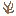 Texture for dead_bush