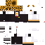 Texture for Bareta