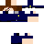 Texture for DanPolice
