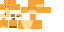 Texture for Lion Cub