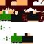 Texture for ........................................................