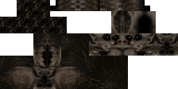 Texture for spider