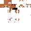 Texture for kopf