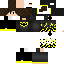 Texture for dsdf