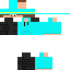 Texture for Soar1