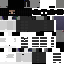 Texture for GS