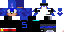Texture for Sonic