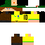 Texture for robin