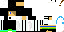Texture for Skilon
