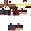 Texture for Z3N4