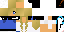 Texture for Phbsss1