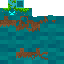 Texture for drowned_outer_layer