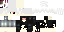 Texture for Swag