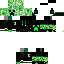 Texture for CreeperNatanLokão