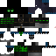 Texture for Green Raven