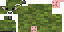 Texture for asi