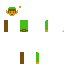 Texture for Link