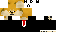 Texture for DOGE