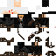 Texture for SSGSS_GB