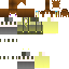 Texture for ALINA