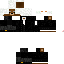 Texture for judge bear