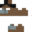 Texture for Xits