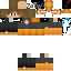 Texture for DatPlex²