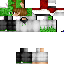 Texture for CreeperFarts