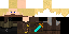Texture for ninja