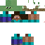 Texture for Steve