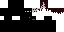 Texture for Ninja