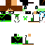 Texture for Flori6432