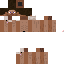 Texture for Steve