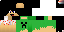 Texture for PacassPVP