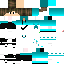 Texture for 789