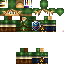 Texture for Link
