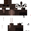 Texture for ant
