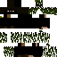 Texture for CAATINGA