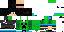Texture for steve